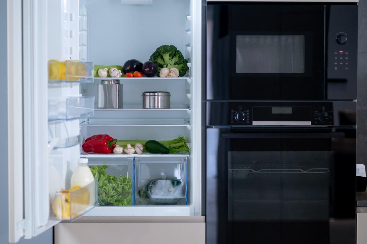 Best Refrigerator With Dual Ice Maker for Modern Kitchens 