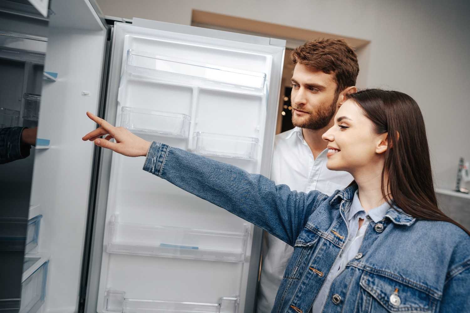 How a Dual Ice Maker System Actually Works